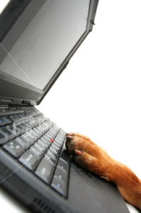 IT-Sicherheit